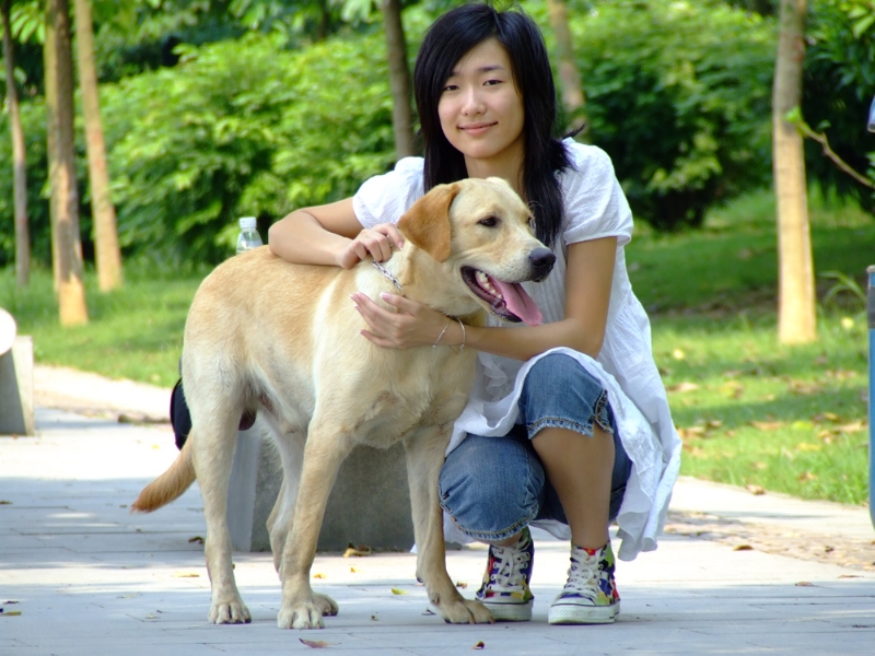 风中的绿叶的第一张照片--阳江相亲服务中心