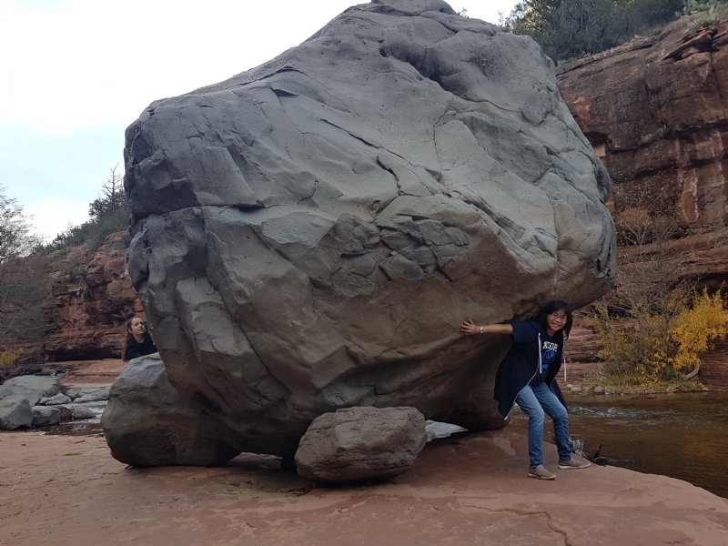 Apple的第一张照片--阳江相亲服务中心