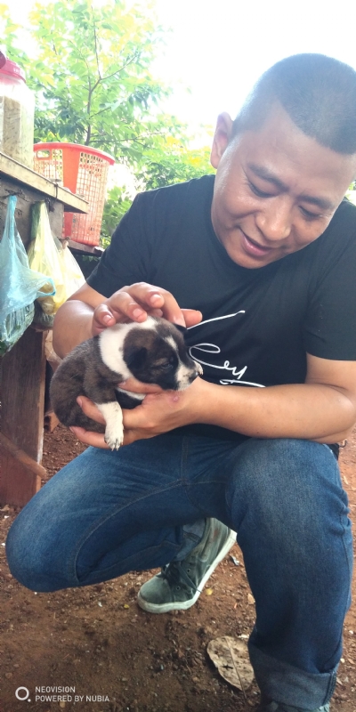 深圳相亲的第一张照片--阳江相亲服务中心