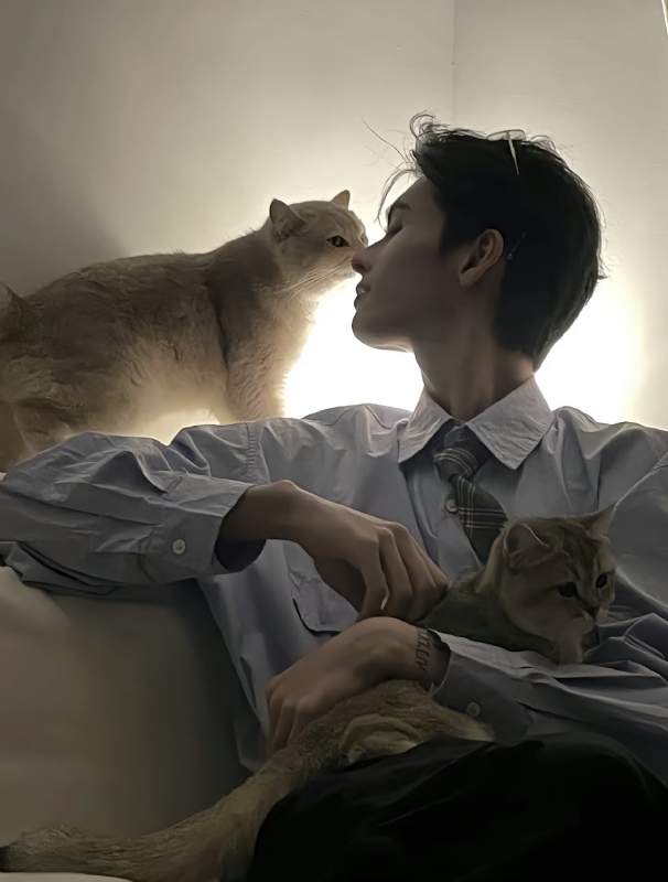 怪猫的第一张照片--阳江相亲服务中心